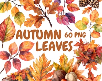Watercolor Autumn Leaves Clipart Bundle, Fall Leaves Clipart, Leaf Illustrations, Transparent PNG Graphics, Commercial Use