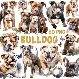 Watercolor Bulldog Clipart Bundle, French Bulldogs Clipart, Dog Illustrations, Transparent PNG Graphics, Commercial Use