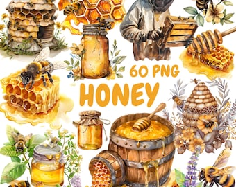 Watercolor Honey Clipart Bundle, Honey Bee Clipart, Honeycomb Illustrations, Transparent PNG Graphics, Commercial Use