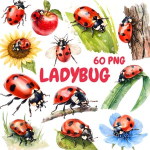 Watercolor Ladybug Clipart Bundle, Cute Ladybugs Clipart, Ladybug Illustrations, Transparent PNG Graphics, Commercial Use