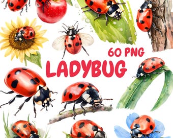 Watercolor Ladybug Clipart Bundle, Cute Ladybugs Clipart, Ladybug Illustrations, Transparent PNG Graphics, Commercial Use