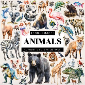 Mega Bundle di Clipart di Animali Acquerello, Animali Carini in PNG, Grafica di Animali del Bosco, Illustrazioni di Animali del Safari, Uso Commerciale
