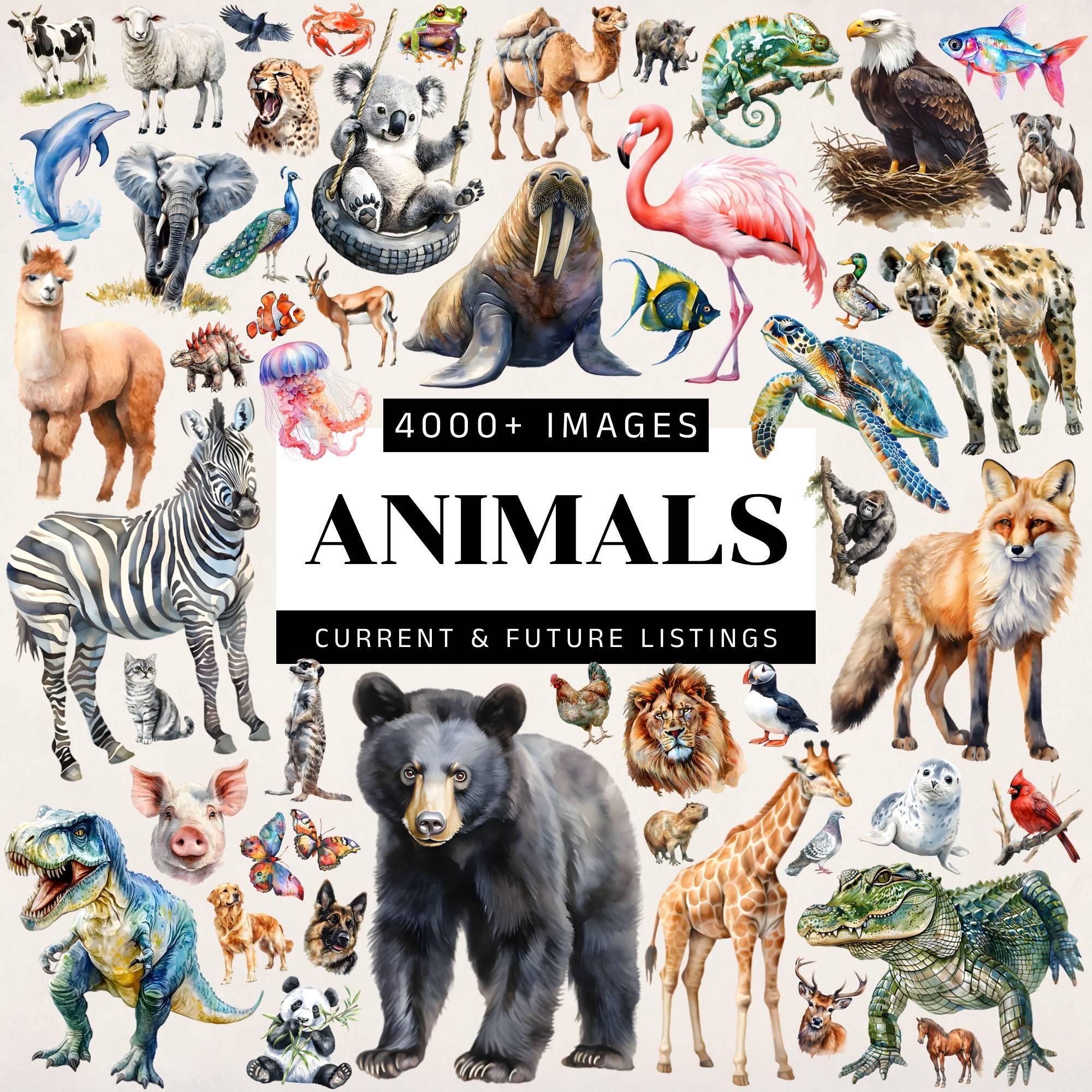 Watercolor Animals Clipart Mega Bundle, Cute Animals PNG, Woodland Animal Graphics, Safari Animal Illustrations, Commercial Use