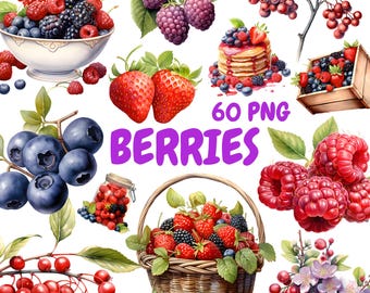Aquarel bessen clipartbundel, fruitdessert clipart, aardbei illustraties, transparante png-afbeeldingen, commercieel gebruik