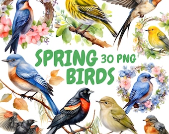 Watercolor Spring Birds Clipart Bundle, Easter Floral Birds PNG, Happy Easter Graphics, Instant Digital Download For Commercial Use
