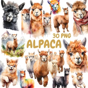 Aquarell Alpaka Clipart Bundle, süßes Lama Clipart, Alpaka Illustrationen, transparente PNG Grafiken, kommerzielle Nutzung