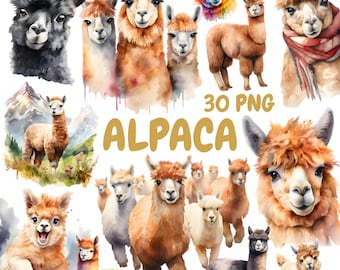 Aquarell Alpaka Clipart Bundle, süßes Lama Clipart, Alpaka Illustrationen, transparente PNG Grafiken, kommerzielle Nutzung