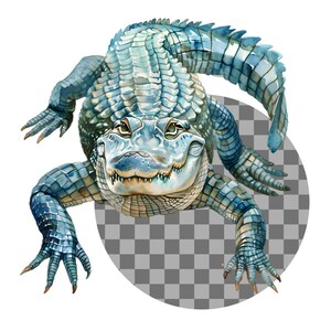 May include: A detailed illustration of an alligator in shades of blue and green. The alligator is depicted with intricate scales and sharp teeth, with its legs and tail extended. The artwork has a realistic style, with a focus on the animal's features.