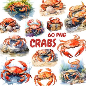 Watercolor Crabs Clipart Bundle, Ocean Animal Clipart, Crab Illustrations, Transparent PNG Graphics, Commercial Use