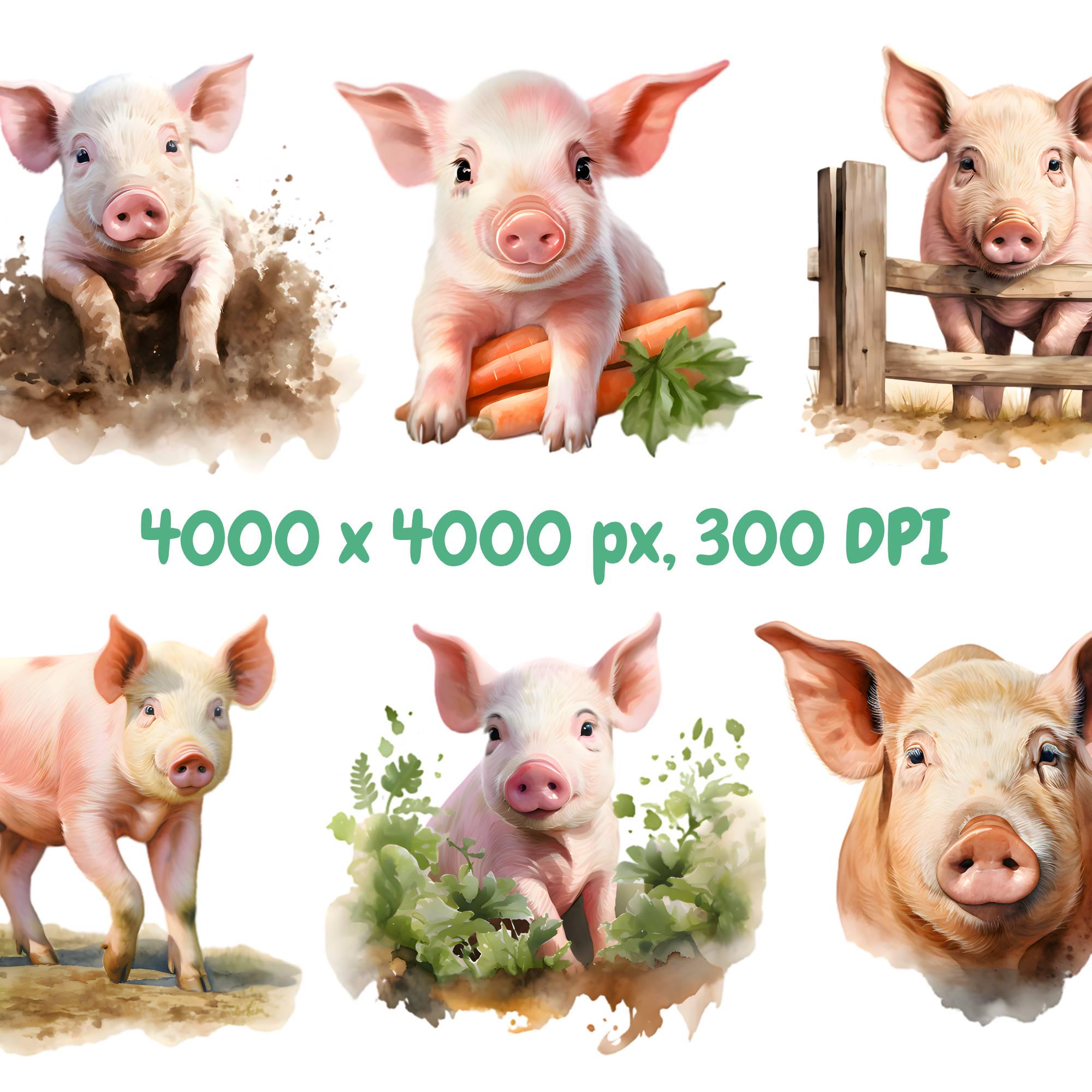 Watercolor Pigs Clipart Bundle, Farm Animals Clipart, Pig Illustrations ...