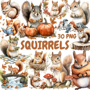 Bundle de cliparts aquarelle écureuils, clipart animaux des bois, Illustrations d'écureuils, graphiques PNG transparents, usage Commercial