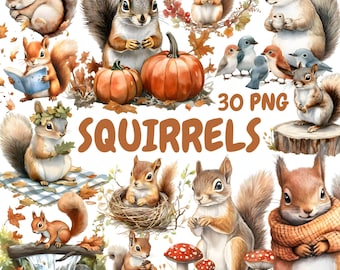 Watercolor Squirrels Clipart Bundle, Woodland Animal Clipart, Squirrel Illustrations, Transparent PNG Graphics, Commercial Use