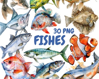 Bundle di clipart di pesci ad acquerello, clipart di animali marini, illustrazioni di pesci pagliaccio, grafica PNG trasparente, uso commerciale