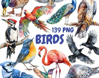 Watercolor Birds Clipart Bundle, Bird Species Clipart, Bird Illustrations, Transparent PNG Graphics, Commercial Use