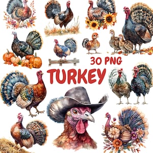 Aquarell Truthahn Clipart Bundle, Bauernhof Tier Clipart, Thanksgiving Illustrationen, transparente PNG Grafiken, kommerzielle Nutzung