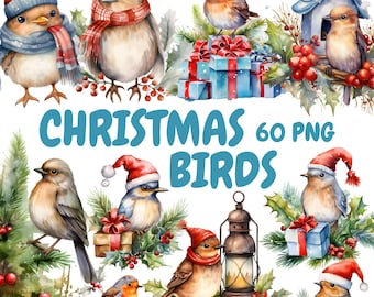 Watercolor Christmas Birds Clipart Bundle, Winter Bird Clipart, Robin Bird Graphics, Instant Digital Download For Commercial Use