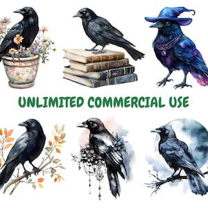 May include: A set of ten watercolour illustrations of crows in various poses. The crows are depicted in different settings, including a stack of books, a flower pot, a branch, and a moonlit sky. The illustrations are in a whimsical style and feature vibrant colours.