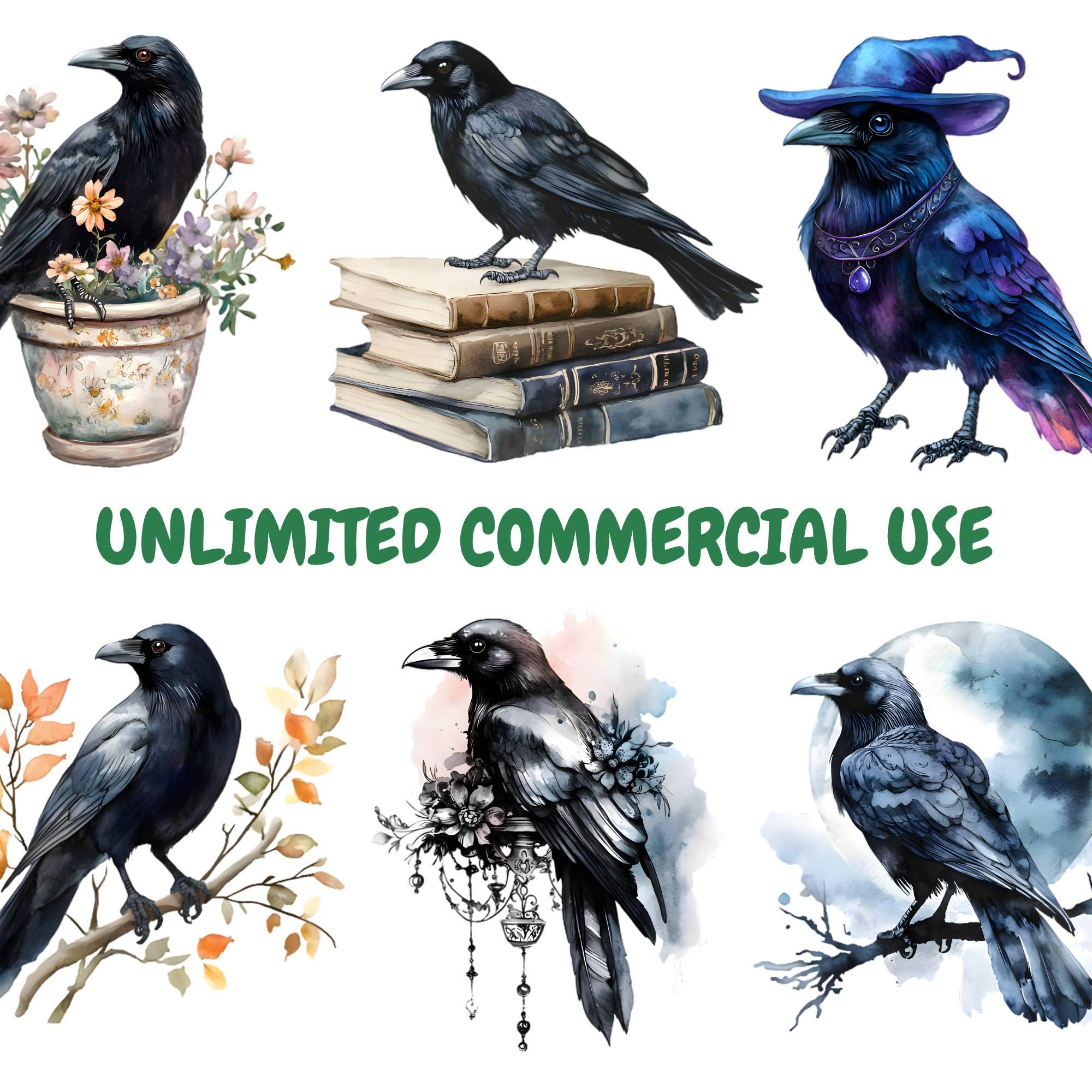 Watercolor Crows Clipart Bundle, Black Bird Clipart, Raven ...