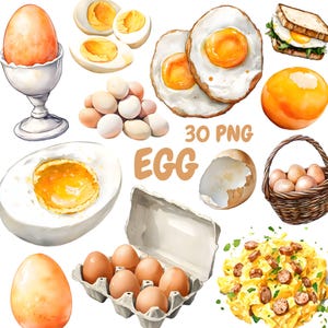 Watercolor Egg Clipart Bundle, Breakfast Food Clipart, Omelette Illustrations, Transparent PNG Graphics, Commercial Use