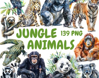 Watercolor Jungle Animals Clipart Bundle, Safari Animal Clipart, Monkey Illustrations, Transparent PNG Graphics, Commercial Use