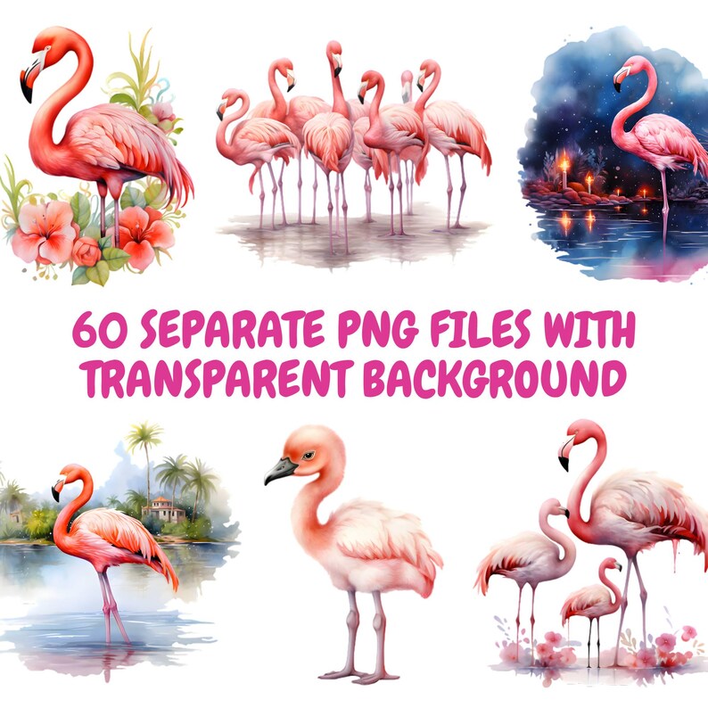 K&ouml;nnte beinhalten: Aquarellillustrationen von rosa Flamingos in verschiedenen Posen und Umgebungen. Einige Bilder zeigen einzelne Flamingos, andere Gruppen. Der Text "60 SEPARATE PNG FILES WITH TRANSPARENT BACKGROUND" ist in Rosa dargestellt.