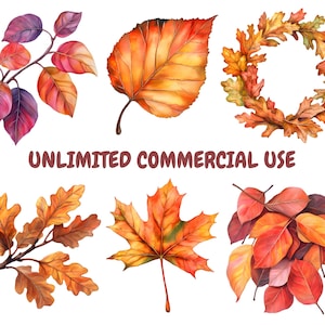 Watercolor Autumn Leaves Clipart Bundle, Fall Leaves Clipart, Leaf Illustrations, Transparent PNG Graphics, Commercial Use image 3