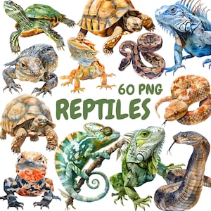 Aquarel reptielen clipart bundel, exotische dieren clipart, hagedis illustraties, transparante PNG-afbeeldingen, commercieel gebruik