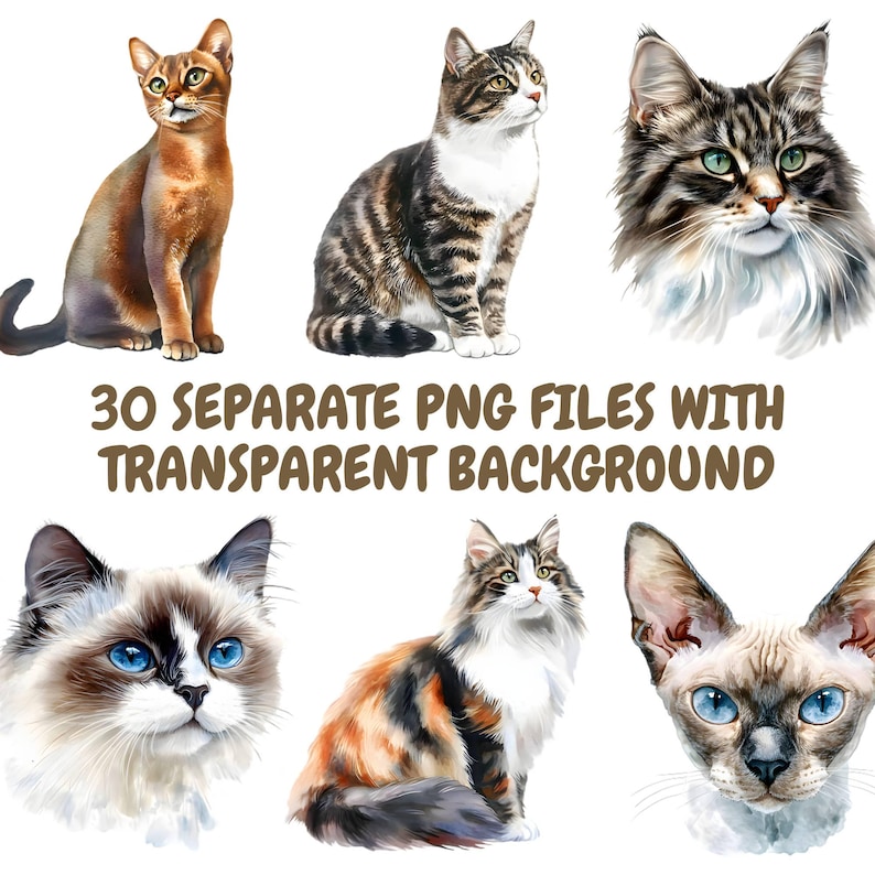 May include: A collection of watercolor paintings of different cat breeds. The cats are depicted in various poses, including sitting, standing, and looking directly at the viewer. The paintings are done in a realistic style, with attention to detail in the fur, eyes, and whiskers.
