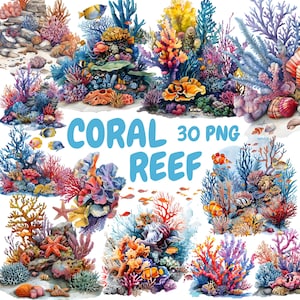 Aquarel koraalrif clipart bundel, zee rif clipart, onderwater illustraties, transparante PNG-afbeeldingen, commercieel gebruik