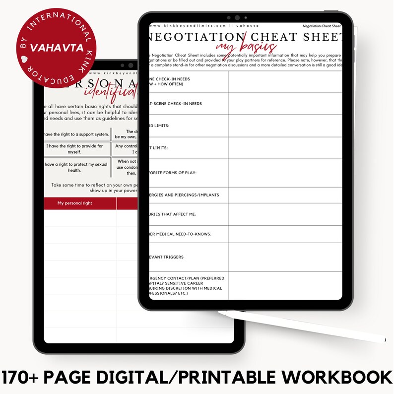 Submission Beyond Limits Workbook: Power Exchange Self-discovery for Submissives + Kink / BDSM D ...