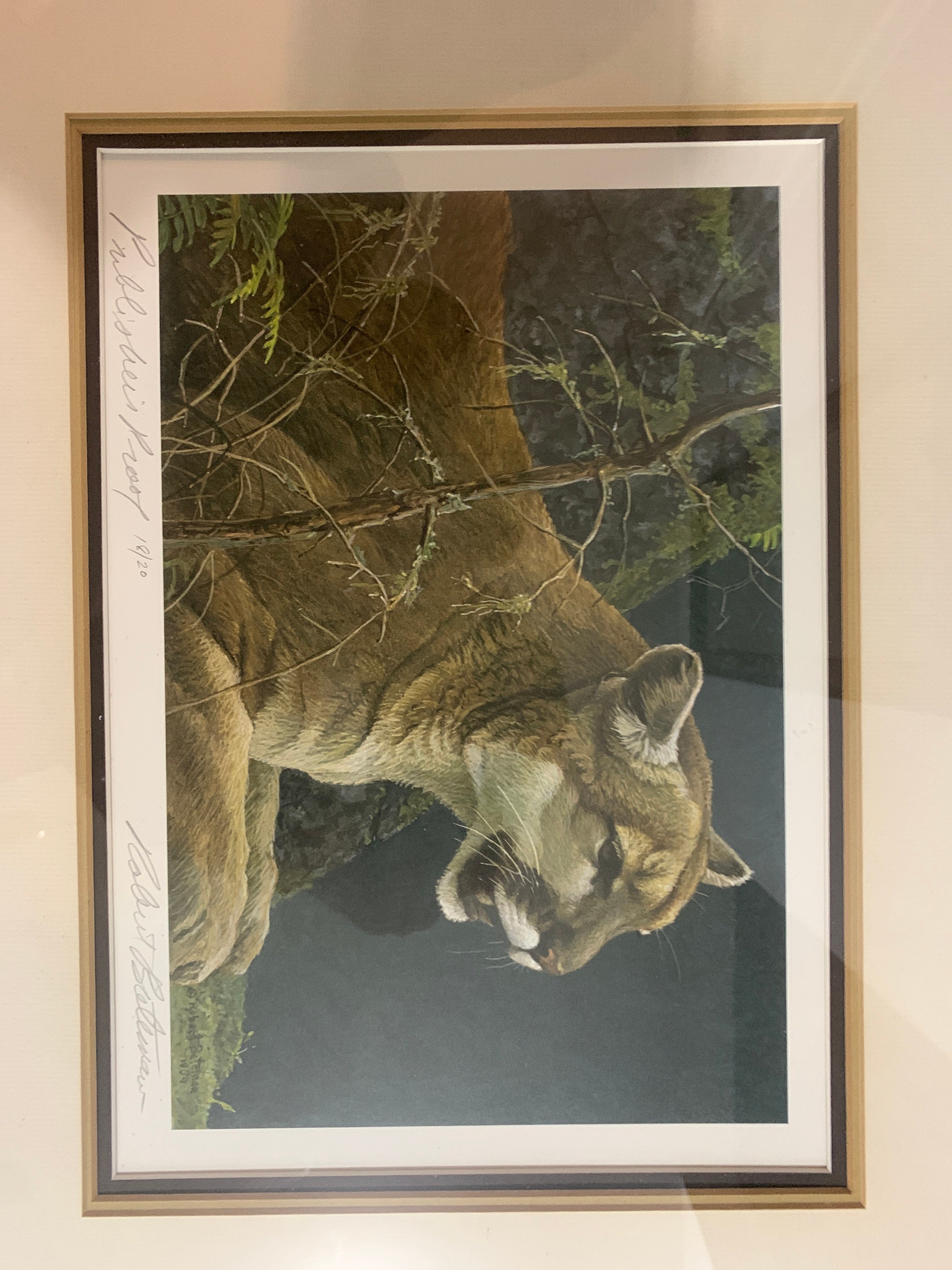 Lithographie Originale 'Loup Noir Minuit' Signée Robert Bateman - Encadrée, édition Limitée 1989