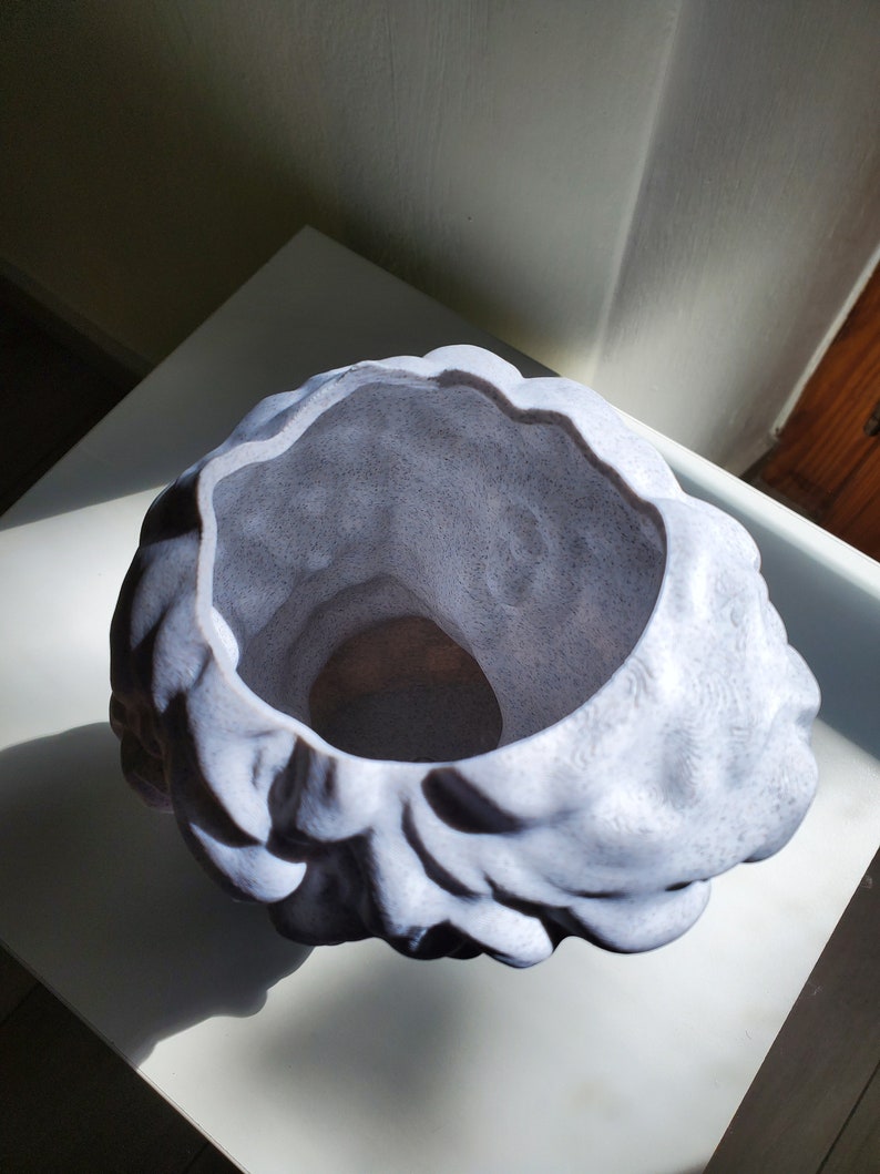May include: A white ceramic planter with a textured, organic shape resembling a cloud or a brain. The planter has a wide opening and a smooth, rounded interior.