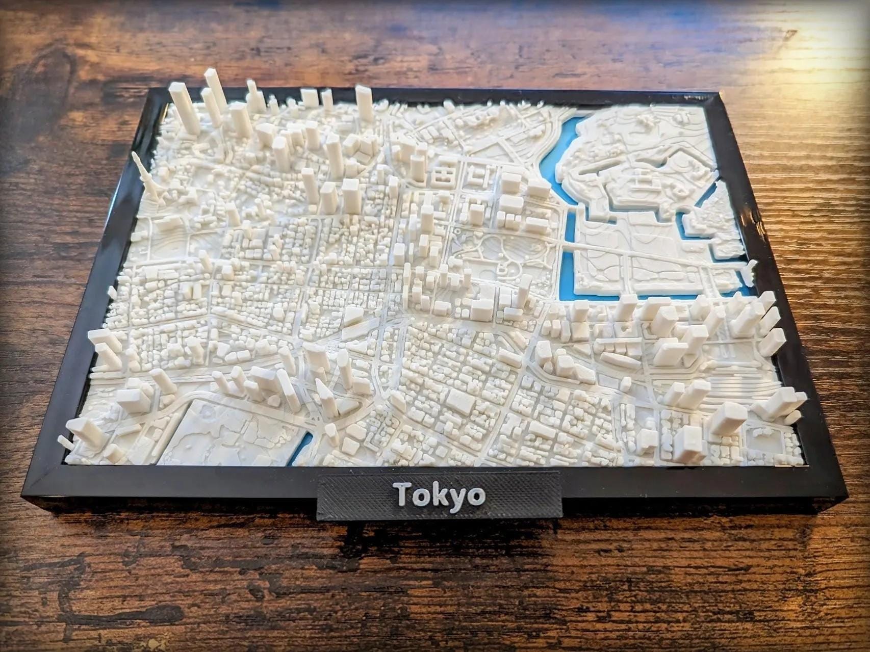 Tokyo City Raised Relief 3D Topographic Map - Highly Detailed