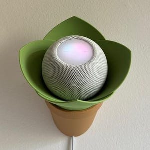 Op de afbeelding: Een witte slimme speaker met een groene, bladvormige wandbevestiging. De speaker is verlicht met een veelkleurig licht.