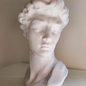 May include: White plaster bust sculpture of a person with short, curly hair. The sculpture is detailed with a textured surface.