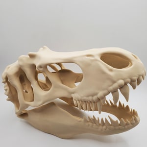 T Rex Skull Replica, Dinosaur Fossil Model, Realistic Tyrannosaurus Rex Head, Paleontology Gift, Dino Lover Home Decor, Dinosaur models
