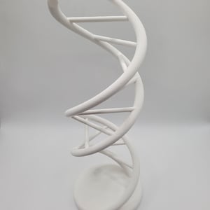 DNA Double Helix Model – Scientific Decor, Molecular Biology Gift, Paintable Spiral DNA Structure for Lab, Office, or Classroom, School gift