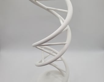 DNA-model met dubbele helix – wetenschappelijk decor, moleculaire biologie cadeau, overschilderbare spiraalvormige DNA-structuur voor laboratorium, kantoor of klaslokaal, schoolcadeau