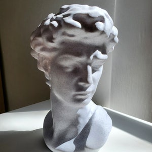 May include: White plaster bust sculpture of a person with short hair. The sculpture is in a classical style and has a textured surface.
