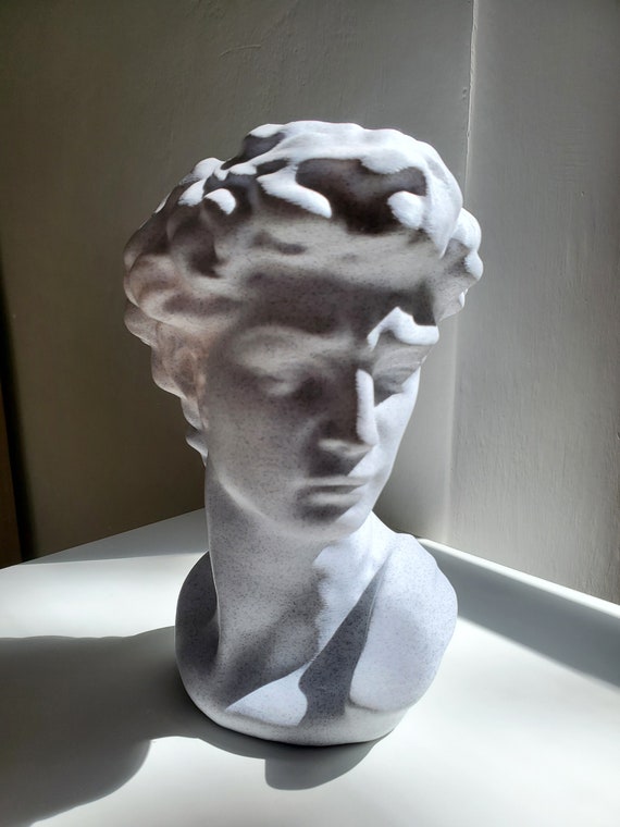 Michelangelo David Bust Pot, Classical Art Planter, Renaissance Sculpture Pot, Artistic Home Decor