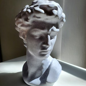 May include: White plaster bust sculpture of a person with a detailed face and hair. The bust is sitting on a white surface.