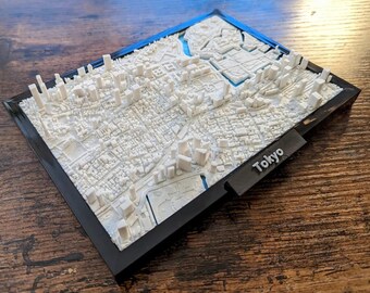 Tokyo City Raised Relief 3D Topographic Map - Highly Detailed
