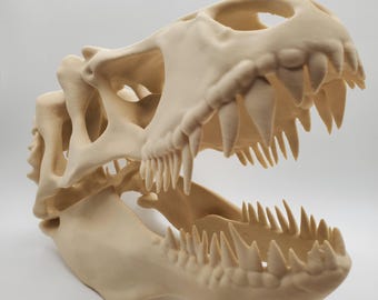 Tレックスの頭蓋骨レプリカ、恐竜の化石モデル、リアルな