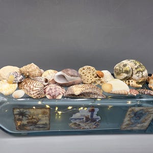 May include: A decorative glass bottle filled with seashells and fairy lights. The bottle has a blue tint and features nautical-themed images. The bottle's neck is wrapped with twine, and various seashells are arranged on top.