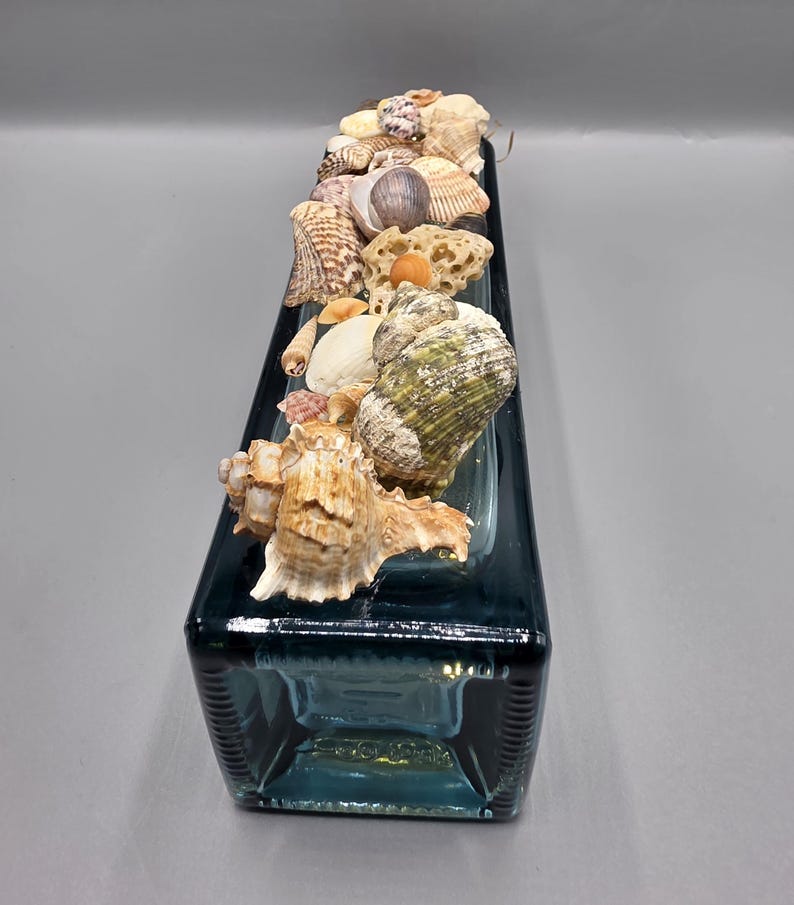 May include: A rectangular, dark teal glass bottle decorated with a variety of seashells. The seashells are in shades of tan, white, and green, and are arranged along the top of the bottle. The bottle has a textured surface.