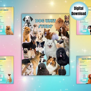 Puede incluir: Una hoja de trabajo imprimible para un estudio de unidad de perros. La hoja de trabajo presenta una variedad de razas de perros, incluyendo un Chow Chow, un Rottweiler, un Dálmata, un Pug, un Bulldog, un Pastor Alemán, un Caniche, un Shetland Sheepdog y un Setter Irlandés. La hoja de trabajo está diseñada para ayudar a los estudiantes a aprender sobre diferentes razas de perros.
