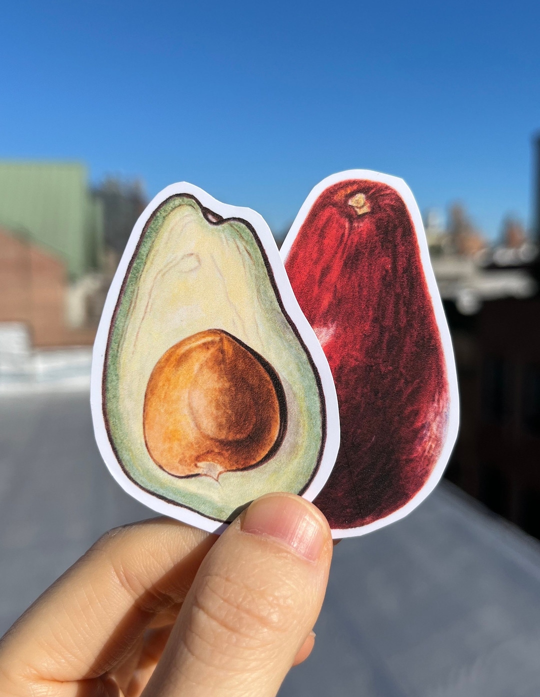 Avocado Sticker Herbology Sticker Gift for Vegan Fruit Lover Sticker ...