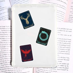 Peut inclure: Trois autocollants décoratifs avec des fonds bleu foncé et rouges. L'un représente un cerf, un autre un ouroboros et le dernier un phénix. Chaque autocollant porte le texte blanc : "SHADOW & BONE", "SIROZ & STORM", et "RISE & RISING".