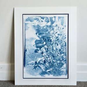 Japanese Garden #5, Cyanotype Print, Fine Art Print, Alternative Photographic Process, A3 Print, Minimalist Wall Decor