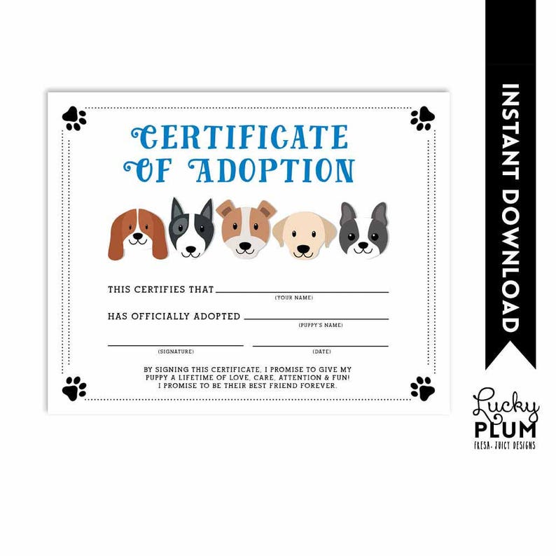 Canine Adoption Certification / Canine Adoption Certification / Doggie Adoption Certification / Canines Adoption Certification / Do it yourself Printable DG01 image regarding Pet Adoption Certificate Free Printable referred to as Doggy Adoption Certification / Canine Adoption Certification / Doggie Adoption Certification / Canines Adoption Certification / Do it yourself Printable DG01